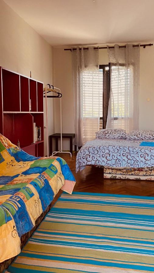 Garden View Guestroom Podgorica Bagian luar foto